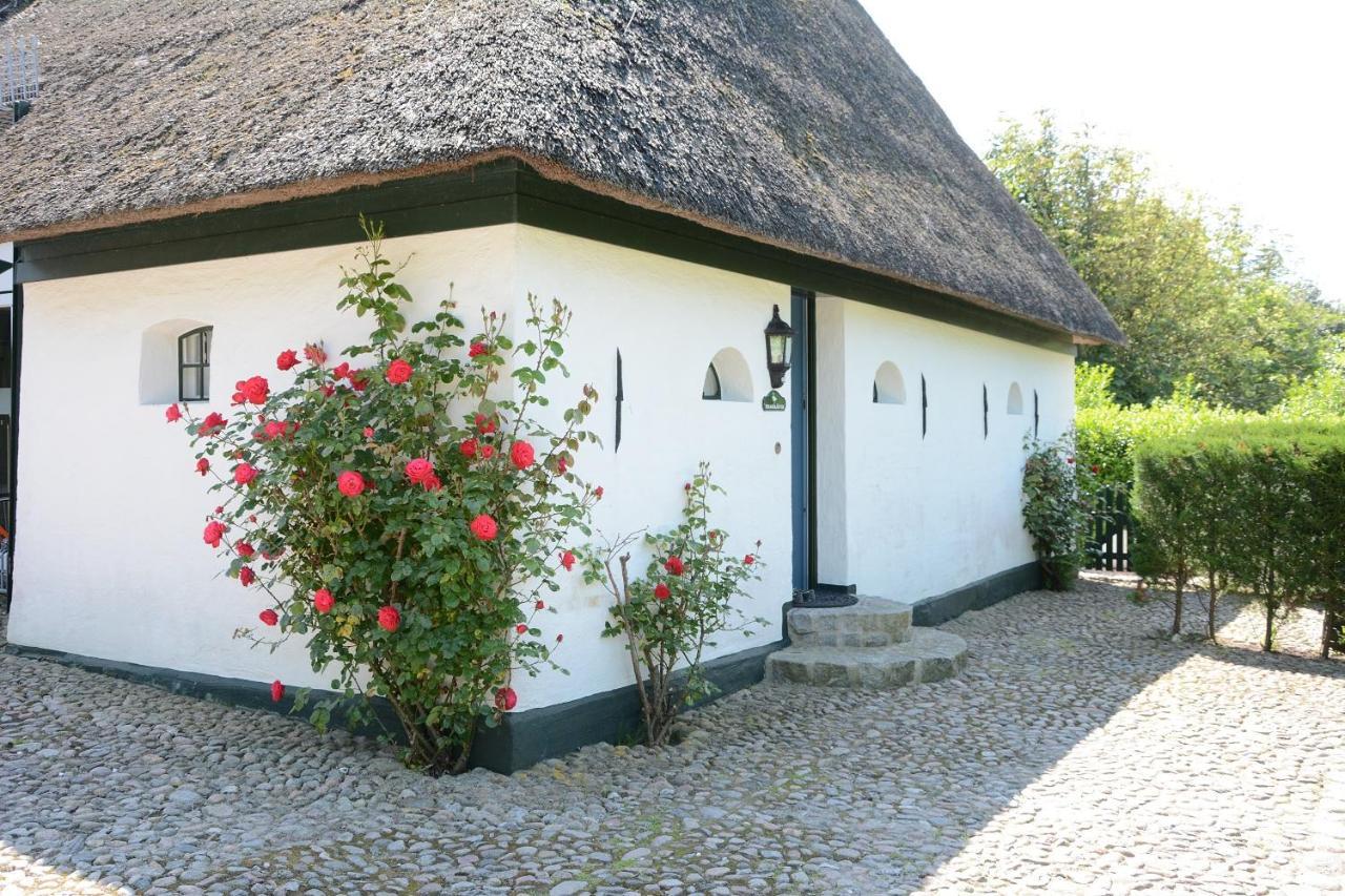 Foehrienhaus Villa Midlum  Екстериор снимка